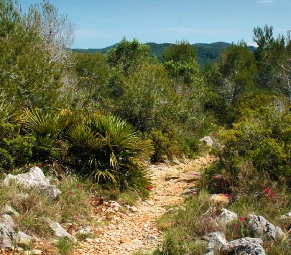 Parc del Garraf