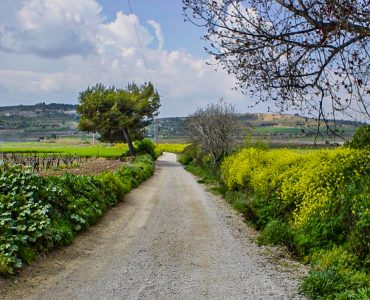 Cycling and walking